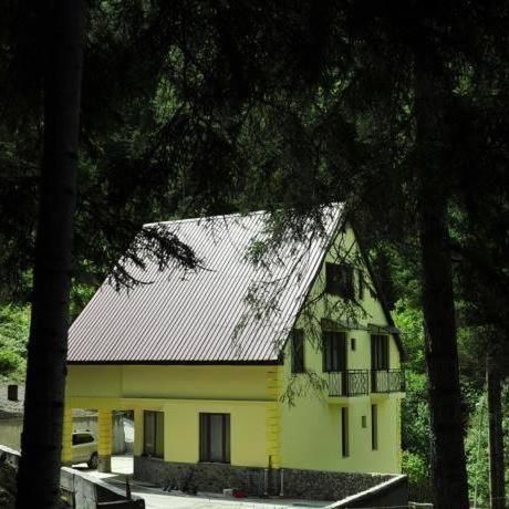 Гостевой дом Guest House Borjomi Forest Боржоми-17