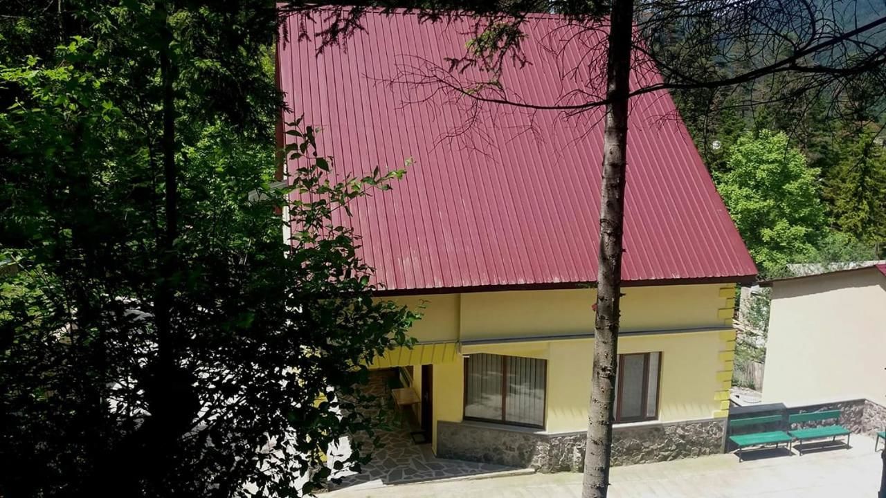 Гостевой дом Guest House Borjomi Forest Боржоми-11